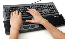 Picture of Mousetrapper Advance