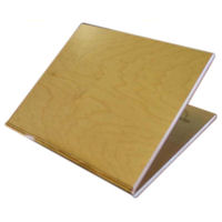 Picture of the Slant Board by Health by Design